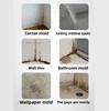 500ml Professional Mold & Mildew Remover Spray Stains On Walls Ceilings Bathroom Tiles Deep Cleaner Prevents Regrowth Quick-Drying Formula