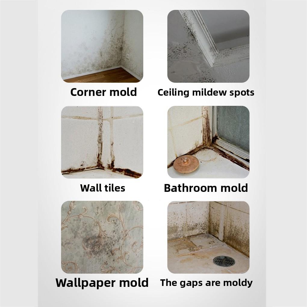 500ml Professional Mold & Mildew Remover Spray Stains On Walls Ceilings Bathroom Tiles Deep Cleaner Prevents Regrowth Quick-Drying Formula
