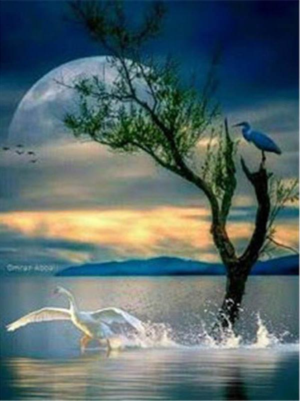 Diamant-Malerei, Mond, voller Bohrer, quadratisch, Diamant-Stickerei, Baum, Perlen, Mosaik, Küstenlandschaft, 5D, DIY-Kunst, Wanddekoration