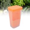Cilantro Storage Container Plastic Transparent Reusable Easy To Clean Multipurpose Asparagus Container for Refrigerator Kitchen