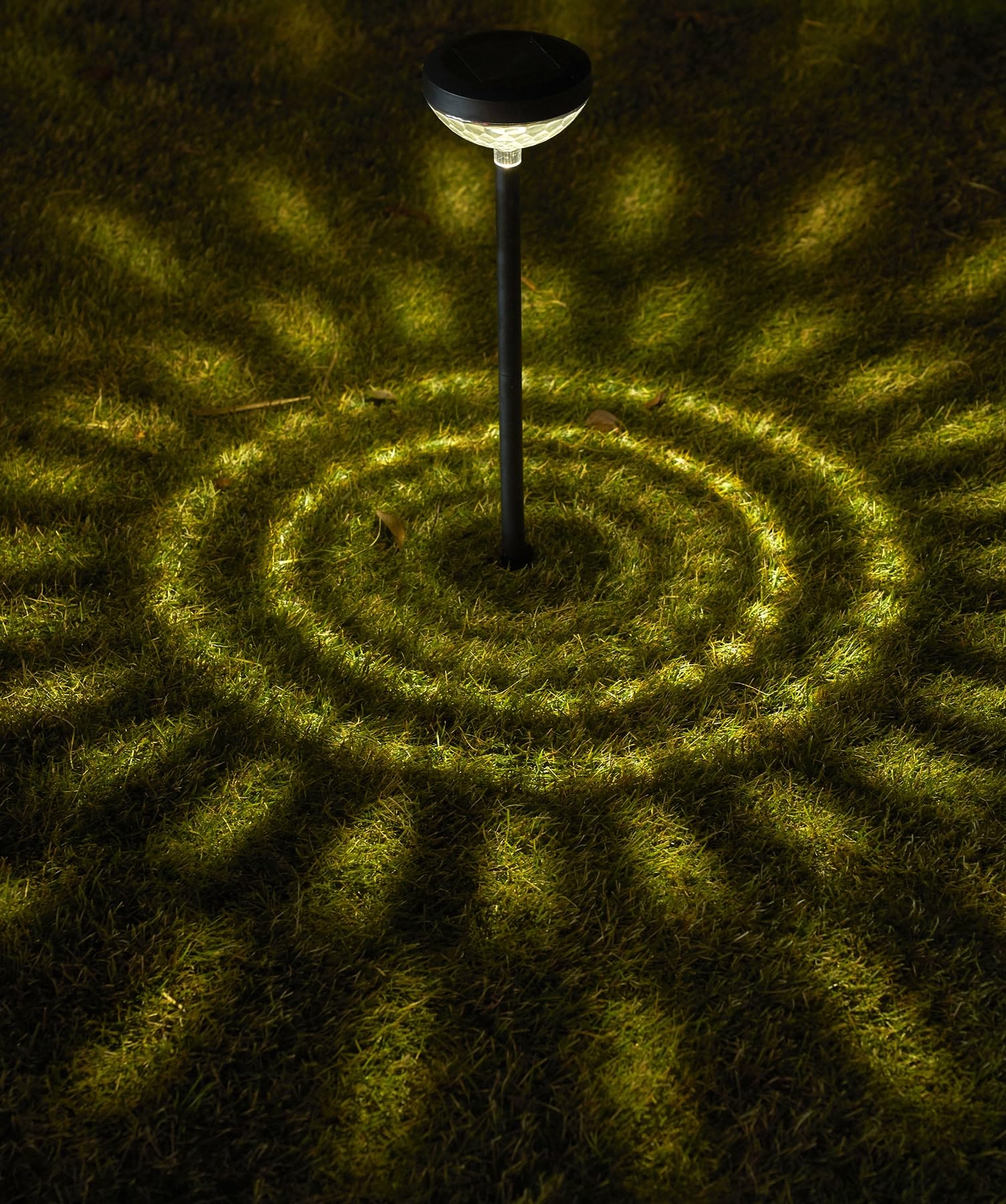 

Gardenmaster Clarte Carnival LED Solar Light with Automatic No Electricity Perfect for Christmas Switch, Waterproof, Required, Stylish, (WCL-3035) чорний