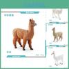 Realistic Miniature Alpaca Model Figurine Desktop Decor Perfect For Animal Lovers