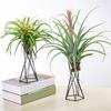 Suporte para Planta de Ar Vasos de Flores de Metal Suporte Geométrico de Ferro Suporte para Tillandsia Mesa Jardim de Casa Ornamento
