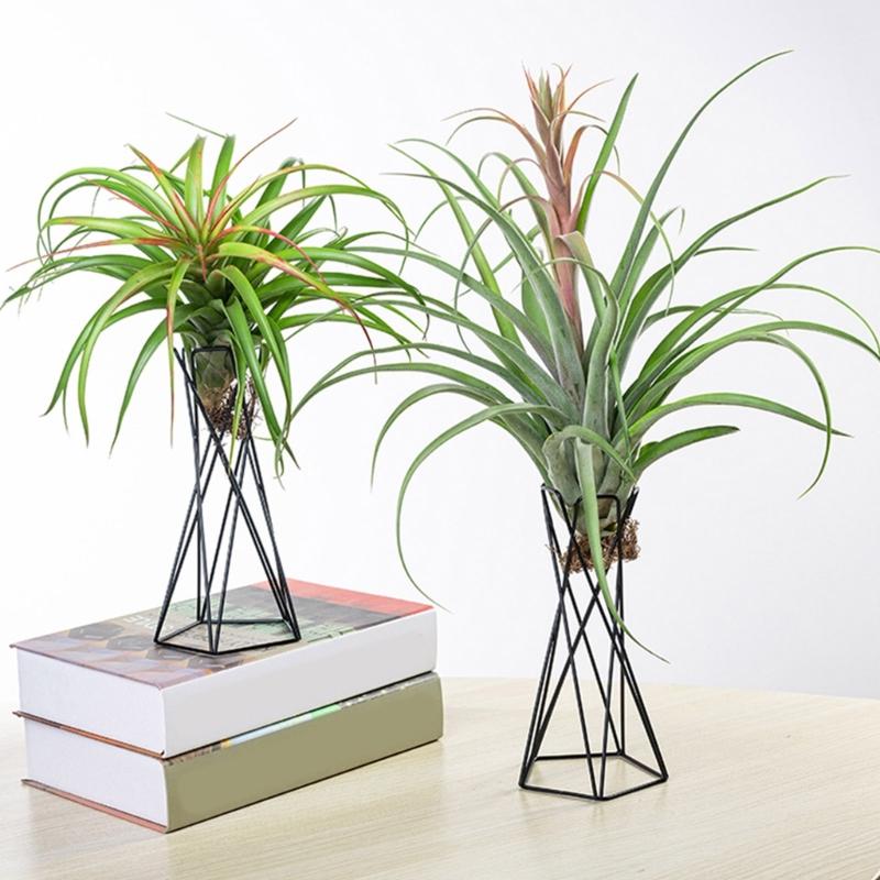 Suporte para Planta de Ar Vasos de Flores de Metal Suporte Geométrico de Ferro Suporte para Tillandsia Mesa Jardim de Casa Ornamento