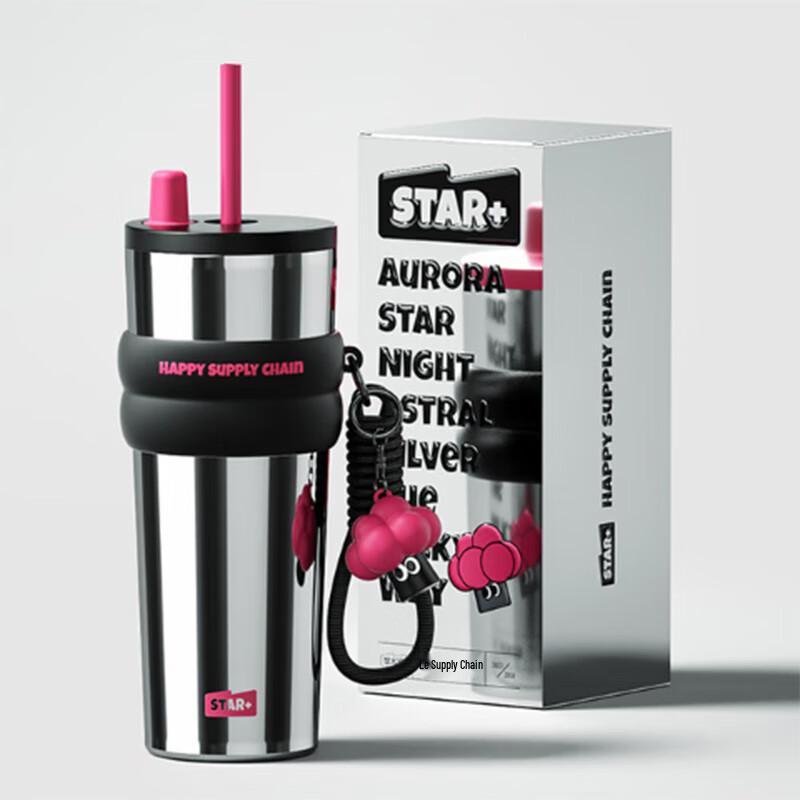 Aurora Starry Night Stainless Steel Straw Tumbler