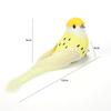 12pcs/set Artificial Foam Colorful Feather Bird Home Ornament Wedding Decoration