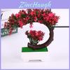 Pinus Hwangshanensis Artificial Bonsai Plastic Pot Decorative Plant For Living Room
