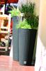 RATO DRTUS250 Tall Flowerpot with Insert | White