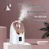 MKS Nano Ionic Hot & Cold Facial Steamer