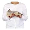 Colorata Wolf Plush Toy (Nesoberi Series/Gentle Touch) Realistic Animal Toy Doll Gift Present Birthday (Meter Read 2 Times) / Christmas Christmas