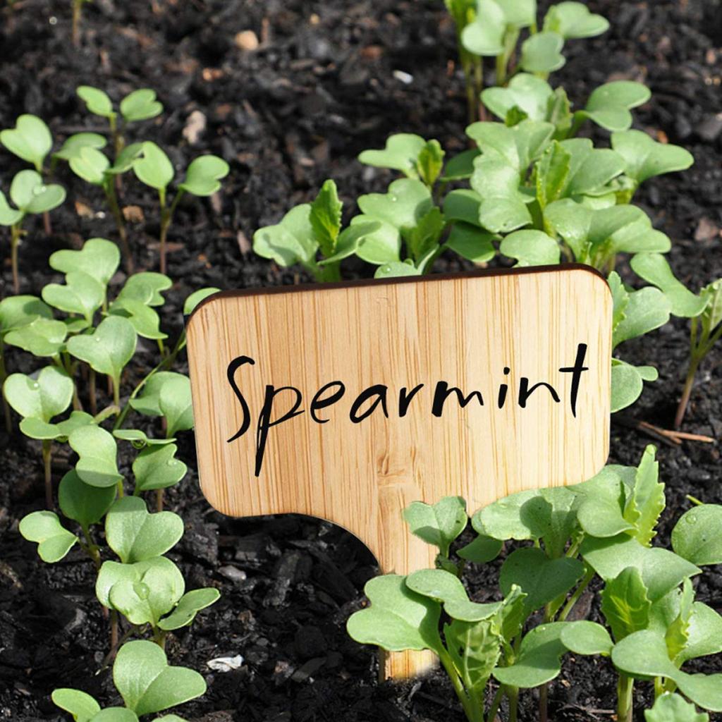 50 ks zahradní štítky a značky štítky rostlin štítky rostlin značky rostlin