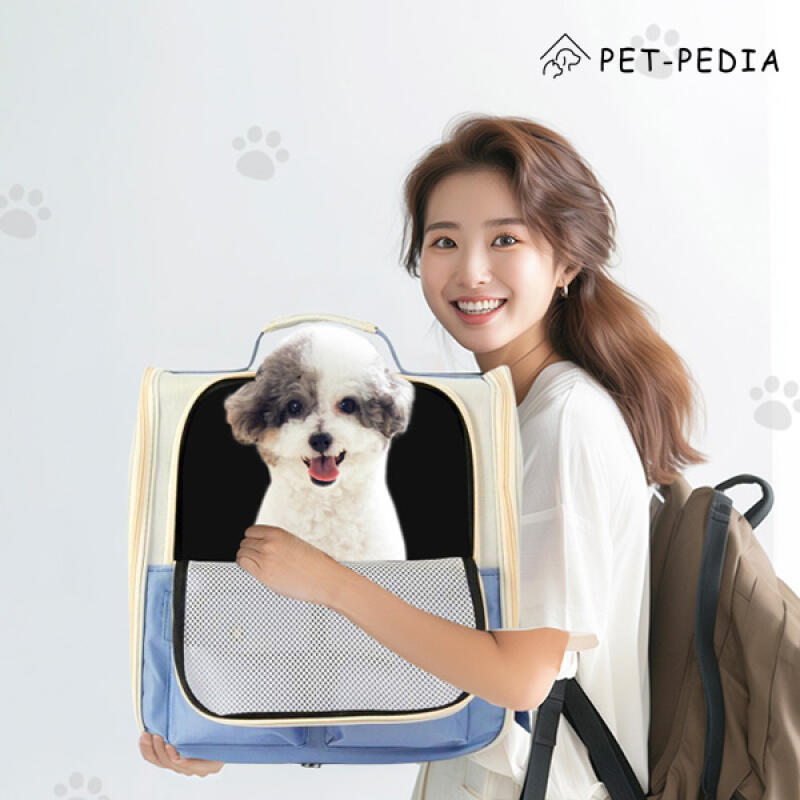 Pastel Pet Backpack Travel Bag 4 Colors