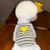 Pet Clothes Dog Knitted Vest Teddy Bichon Pomeranian VIP Maltese Small Dog Puppy Yorkshire