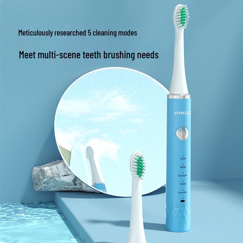 Yangzi DFC-001 Sonic Rechargeable Electric Toothbrush