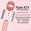 Bluetooth Wireless Karaoke Microphone Phone Music Player Record KTV MIC Speaker