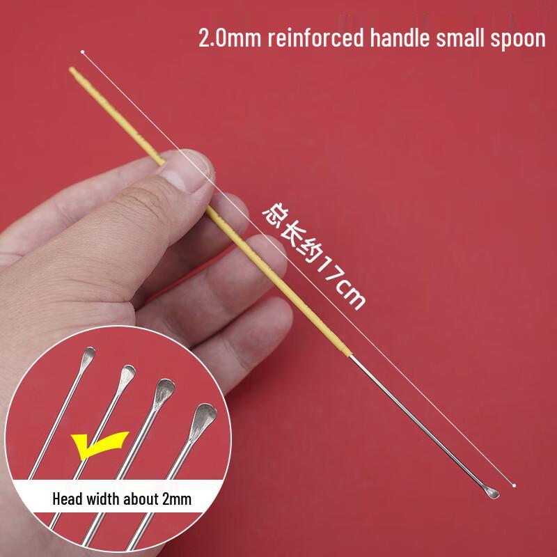 Professional Stainless Steel Ear Pick Set