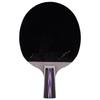 Double Fish 6-Star Professional Table Tennis Racket