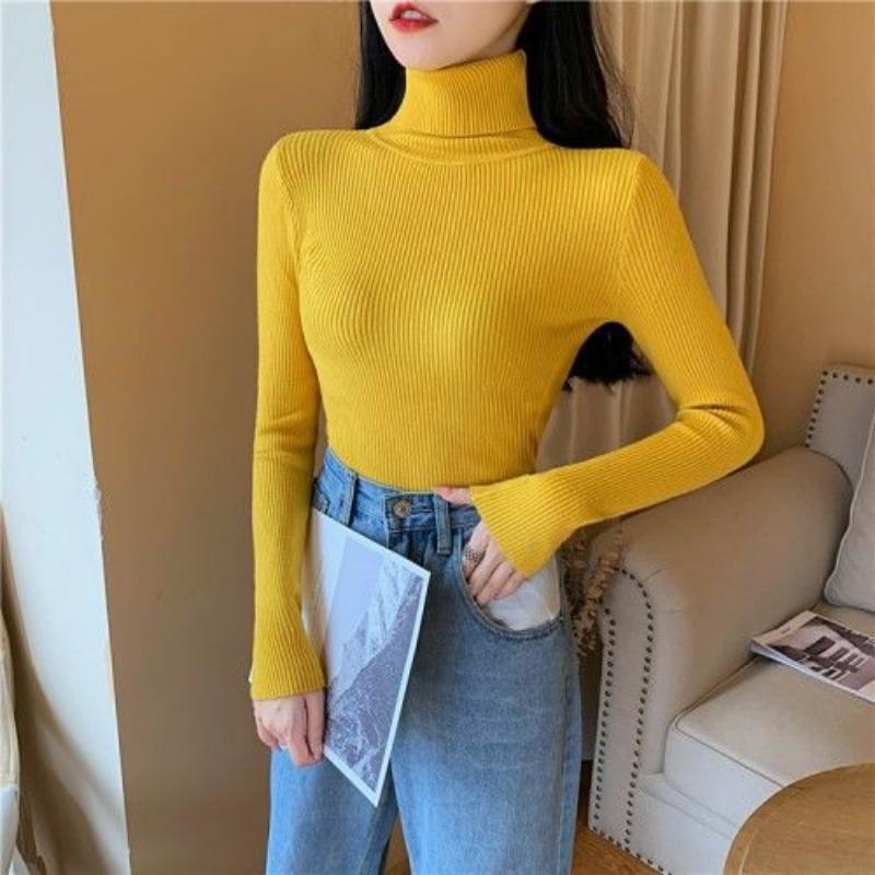 Autumn Winter Thick Sweater Women Knitted Ribbed Pullover Sweater Long Sleeve Turtleneck Slim Jumper Soft Warm Pull Femme