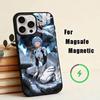 T-The FS-Five Star Stories  Phone Case For iPhone17,16,15,14,13,12,11 Plus,Pro Magnetic with Magsafe Wireless Charging