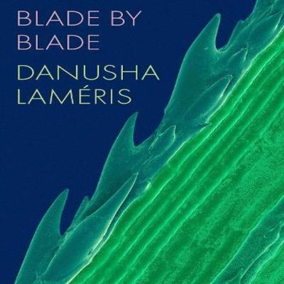 Blade by Blade by Danusha Lameris Paperback Book 9781556597039