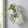 Irregular Shape Hydroponic Vase Wall Mounted Plant Container Glass Vase  Living Room