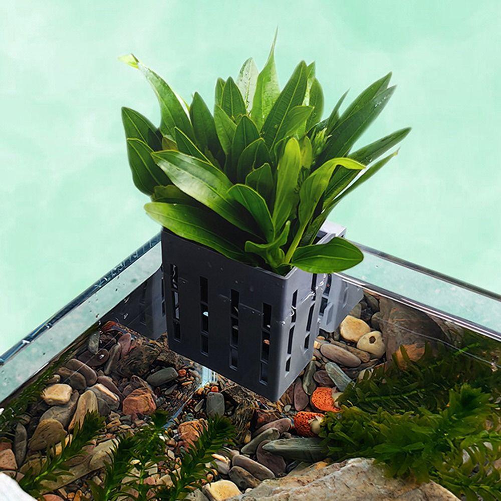 Water Plant Stand Fish Tank Hydroponic Planting Basket Aquarium Planter Cups  for Fish Tank