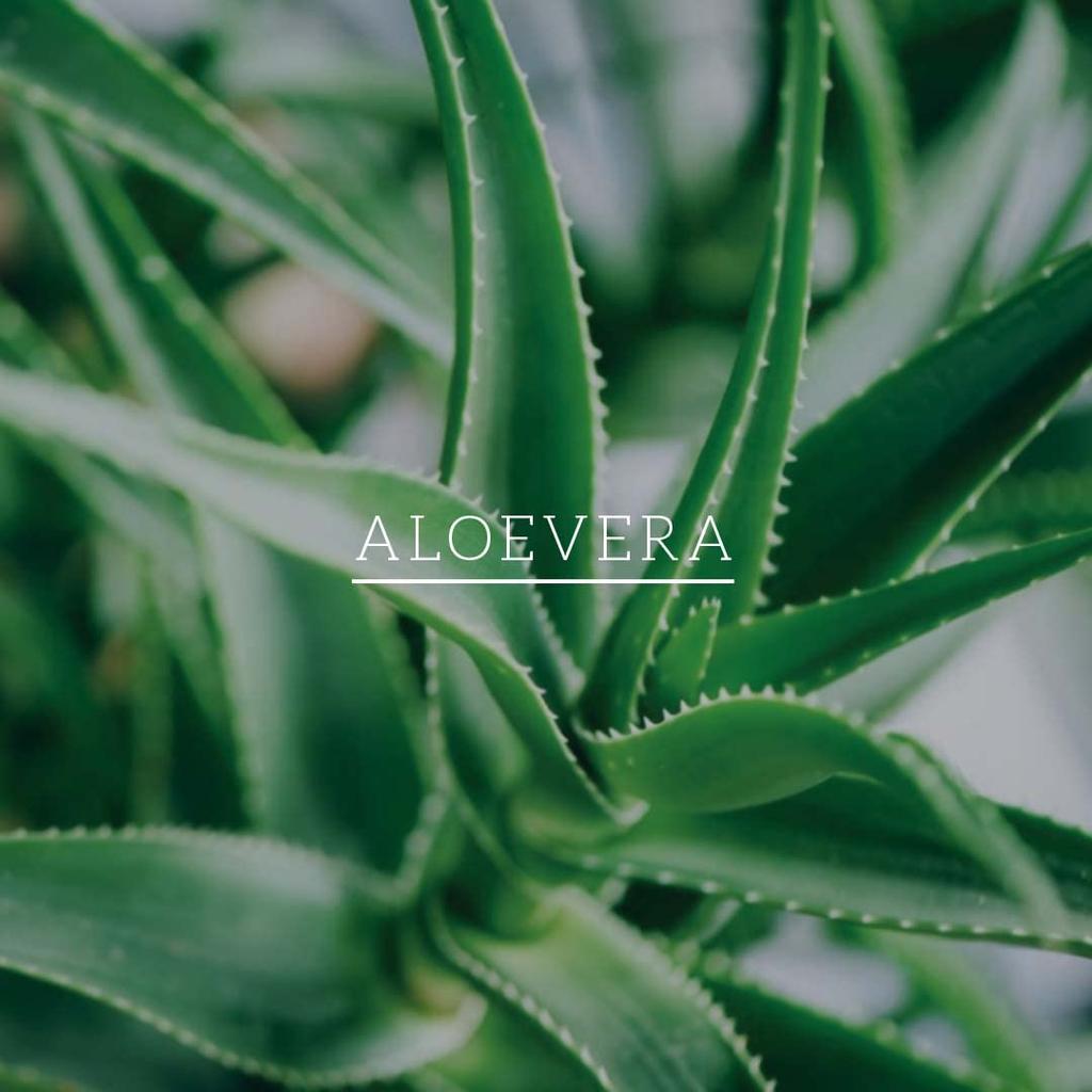 KHADI NATURAL Powered Botanics Hibiscus Aloe Vera Hair Conditioner 310ml Frizz Free Soft Manageable Hair