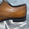 REGAL Wingtip Business Shoes Kumgang Model Size 25.0 Brown(USED)