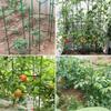 24Pcs Garden Vegetables Stakes For Plant Cage Support Tomato Cage For Vertical Climbing Plants For 11mm Stake