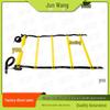 Agility Ladder