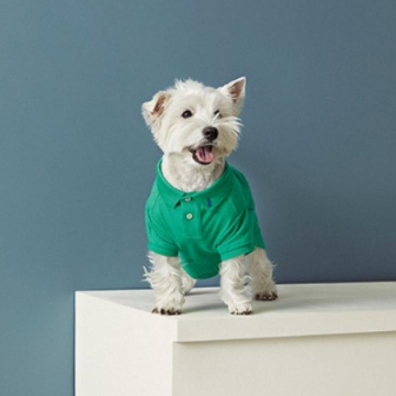Ralph Lauren Polo Bear Cotton Mesh Dog Polo Shirt Hmpogfthr920005600