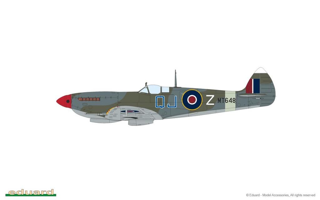 Eduard 1/72 Weekend Edition US Army Air Forces Spitfire Mk.8 Plastic Model Kit EDU7462