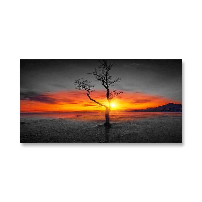 Modern Sunrise Sunset Landscape Canvas Painting Sun Tree Wall Pictures Mystery Color Wall Art for Living Room Wall Decor Cuadros