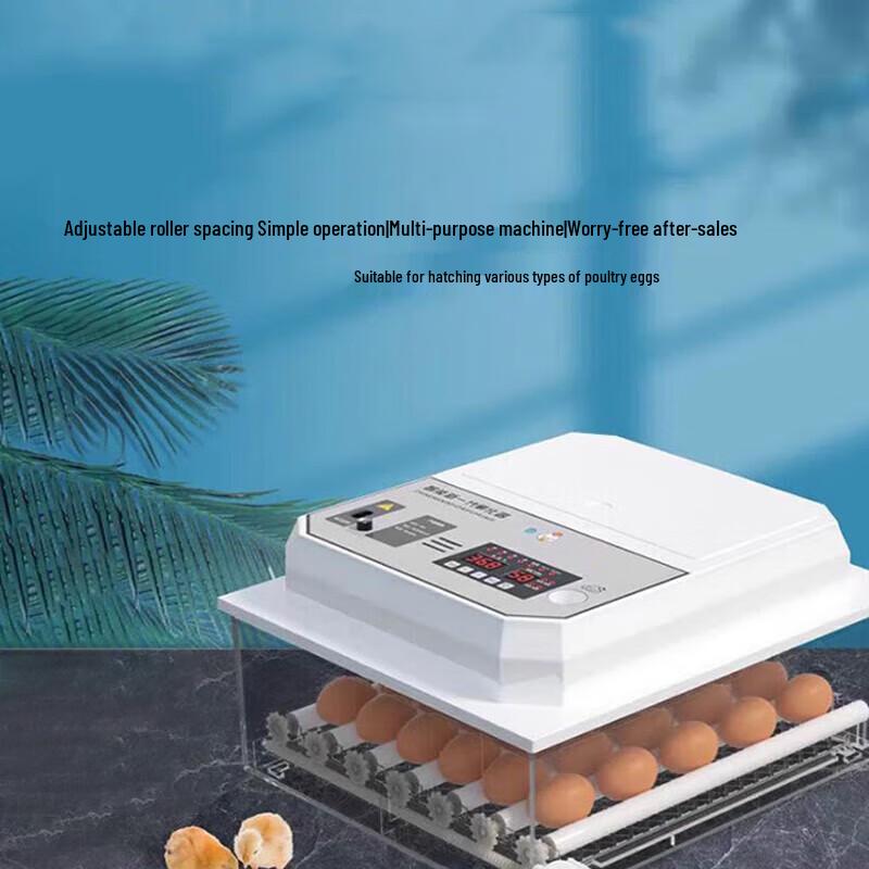 COKRSUPE 152-Egg Fully Automatic Poultry Incubator