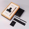 Picasso T717 Extra Fine Fountain Pen Set