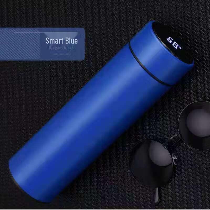 Smart Temperature Display Insulated Bottle