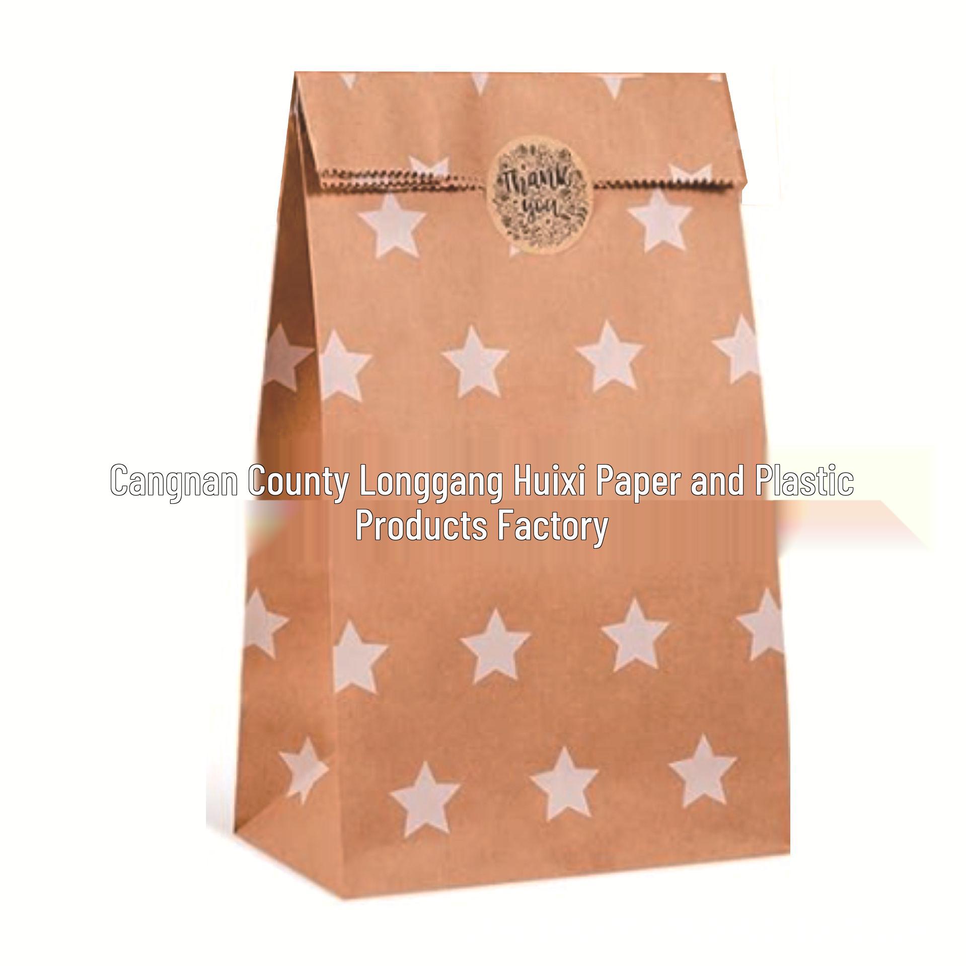 

В наявності крафтові паперові пакети - Креативна одноразова упаковка для печива та цукерок на дні народження (6 Дизайнів)