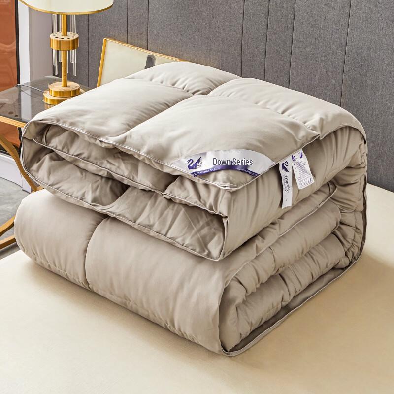 Brangdy All-Season Down Alternative Comforter