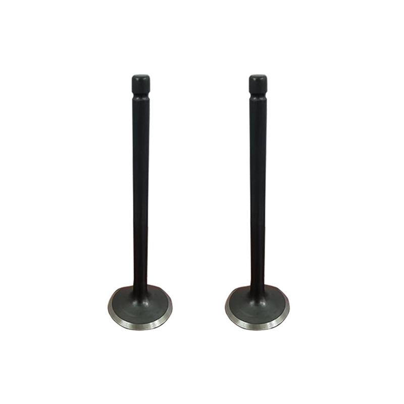 Motorcycle Exhaust Valves Inlet Intake Stem Kit For  660 YFM660 YFM660F 4X4 2002-2008 Motorcycle Engine Parts