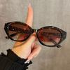 European and American retro fashion Y2K sunglasses for summer sun shading, sun protection, UV protection, lightweight sunglasses