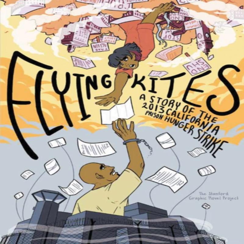 Flying Kites by Stanford Graphic Novel Project Paperback Book 9781642595130