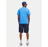 Шорты Jack & Jones Jpstcole