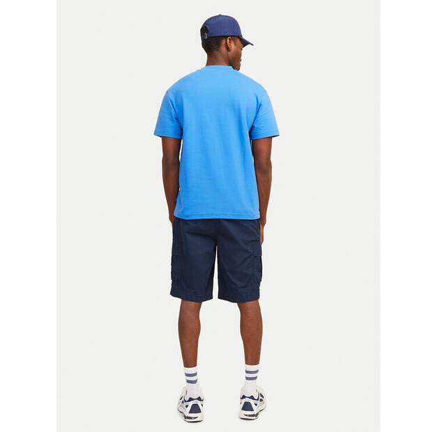 Шорты Jack & Jones Jpstcole