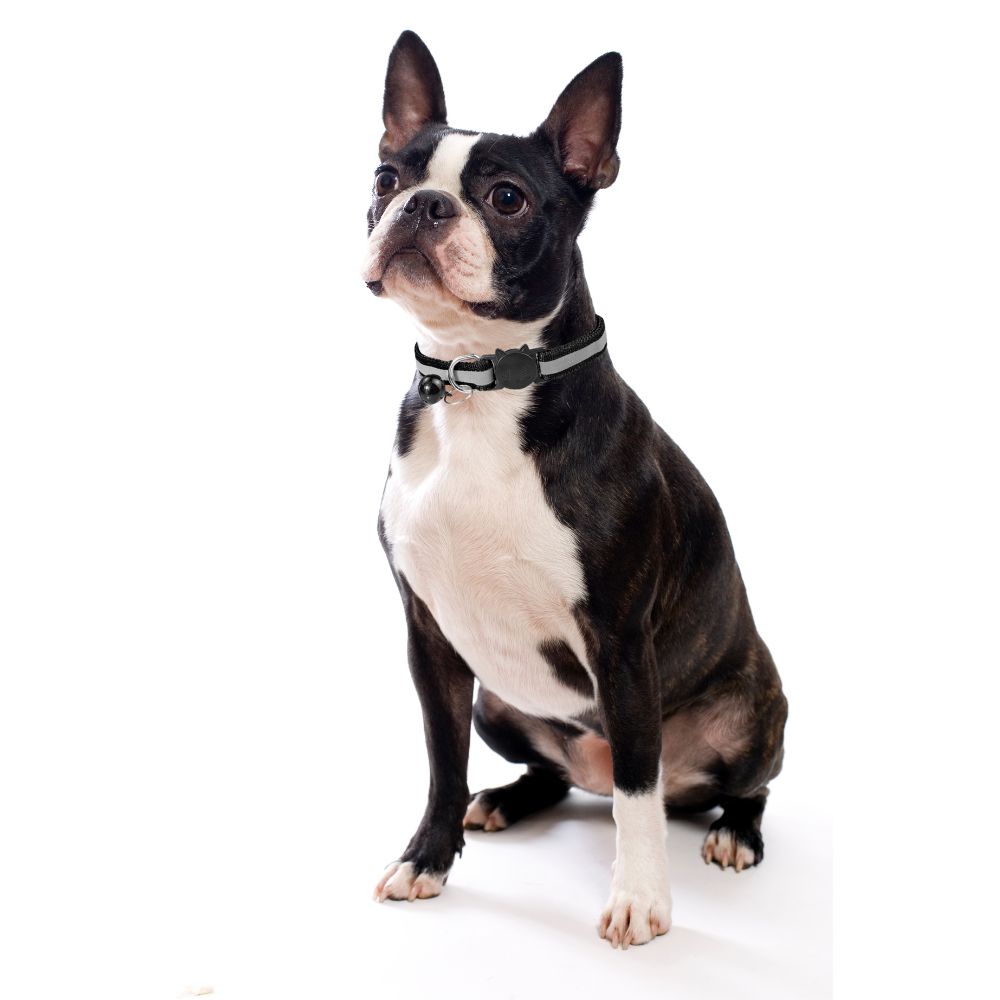 Collier pour chiens et chats avec une clochette et un réflecteur, réglable, solide, résistant, universel, PetJet