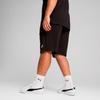 PUMA Men's Sport Casual Shorts 687541