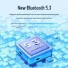 Lanston Theta Open-Ear TWS Bluetooth 5.3 Earbuds