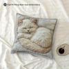 Sofa Pillow Pillowcase Skin-friendly Short Plush Cute Animal Cat Pillow Cover Living Room Cushion Cover Without Core