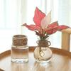 Transparenter Blumentopf Vase Hydrokulturbehälter Miniaturlandschaft Kunststoff Öko-Flasche Heimdekoration