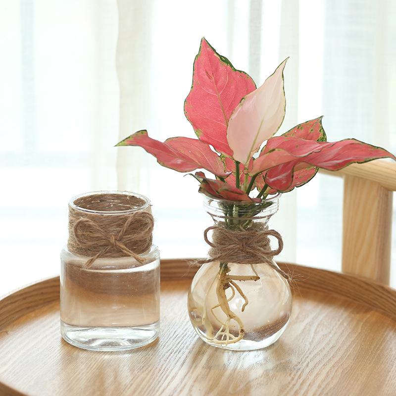 Transparenter Blumentopf Vase Hydrokulturbehälter Miniaturlandschaft Kunststoff Öko-Flasche Heimdekoration
