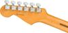 Fender Electric Guitar American Professional II Rosewood Roasted Pine Stratocaster®, Fingerboard,